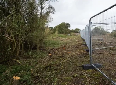 nature reserve cleared of trees