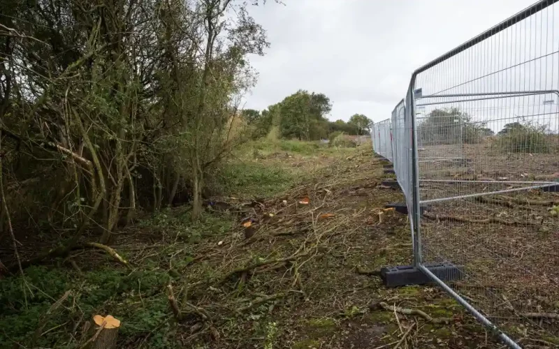 nature reserve cleared of trees