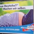 2017 AfD election poster.