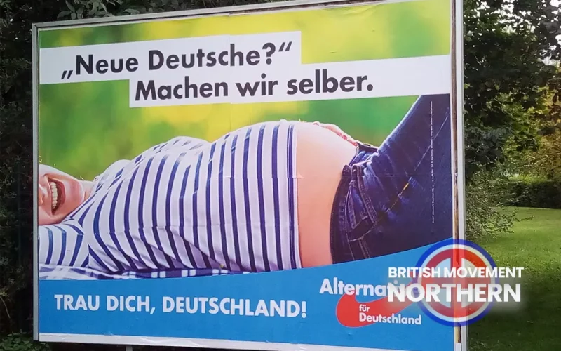 2017 AfD election poster.