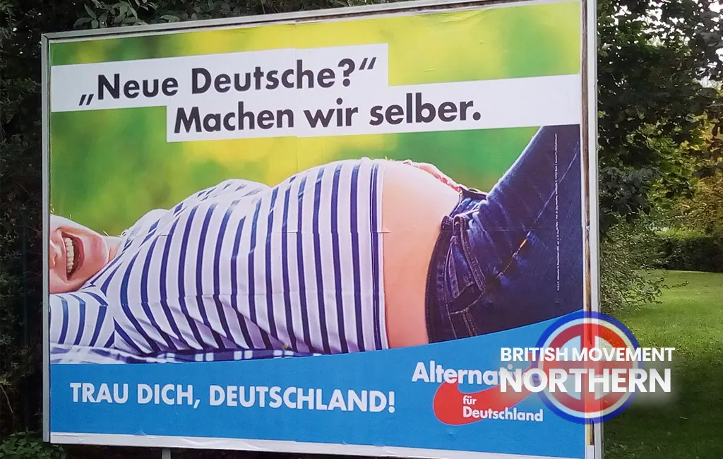 2017 AfD election poster.