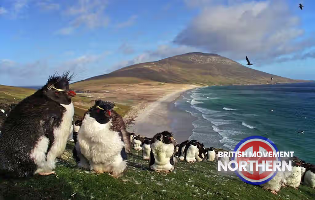 Falklands