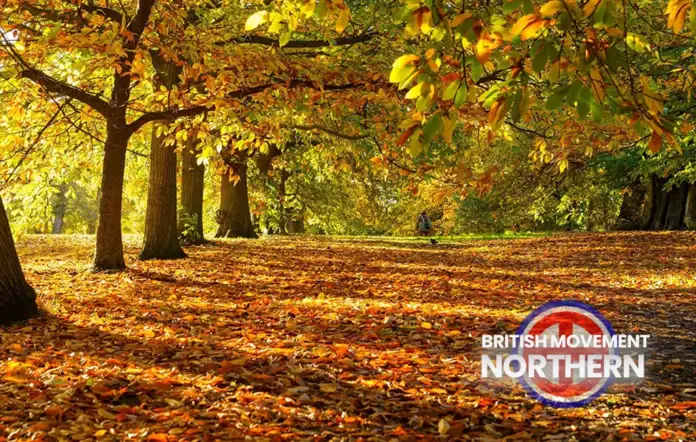 Autumn is the season of harvest
